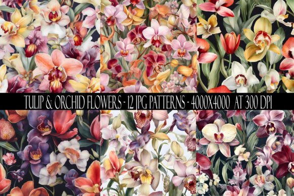 Tulip and Orchid Patterns for Creators